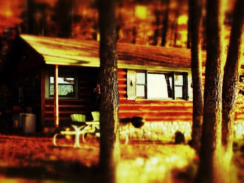 Trails End Cottage